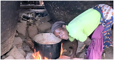 Biogas to replace Wood Burning Stoves